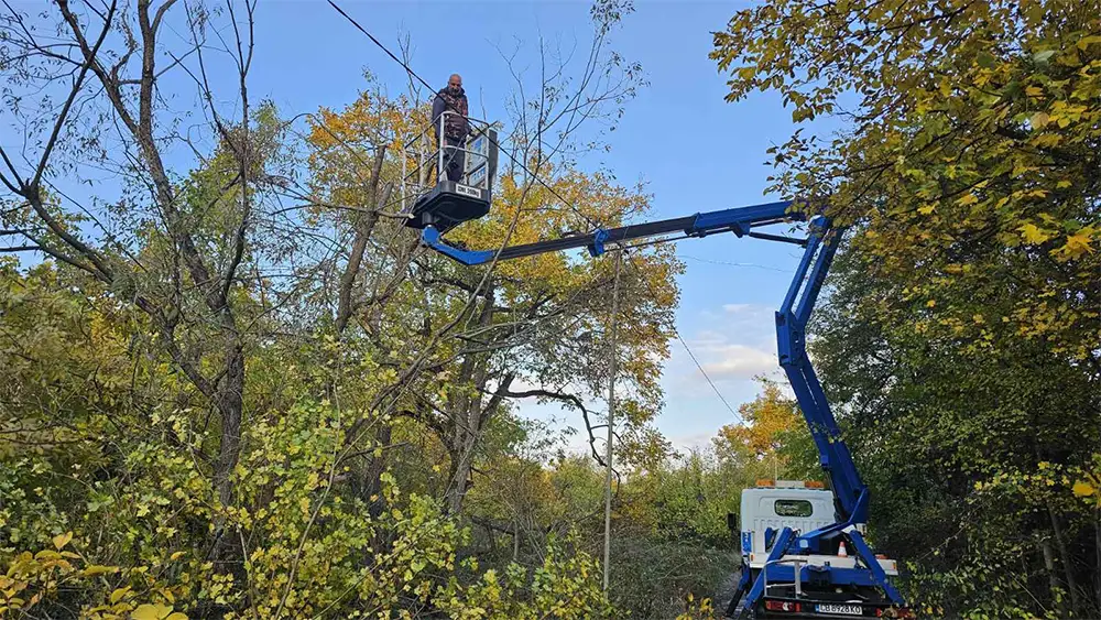 Рязане на дървета паднали на електро преносната мрежа – с. Черешовица, Берковица